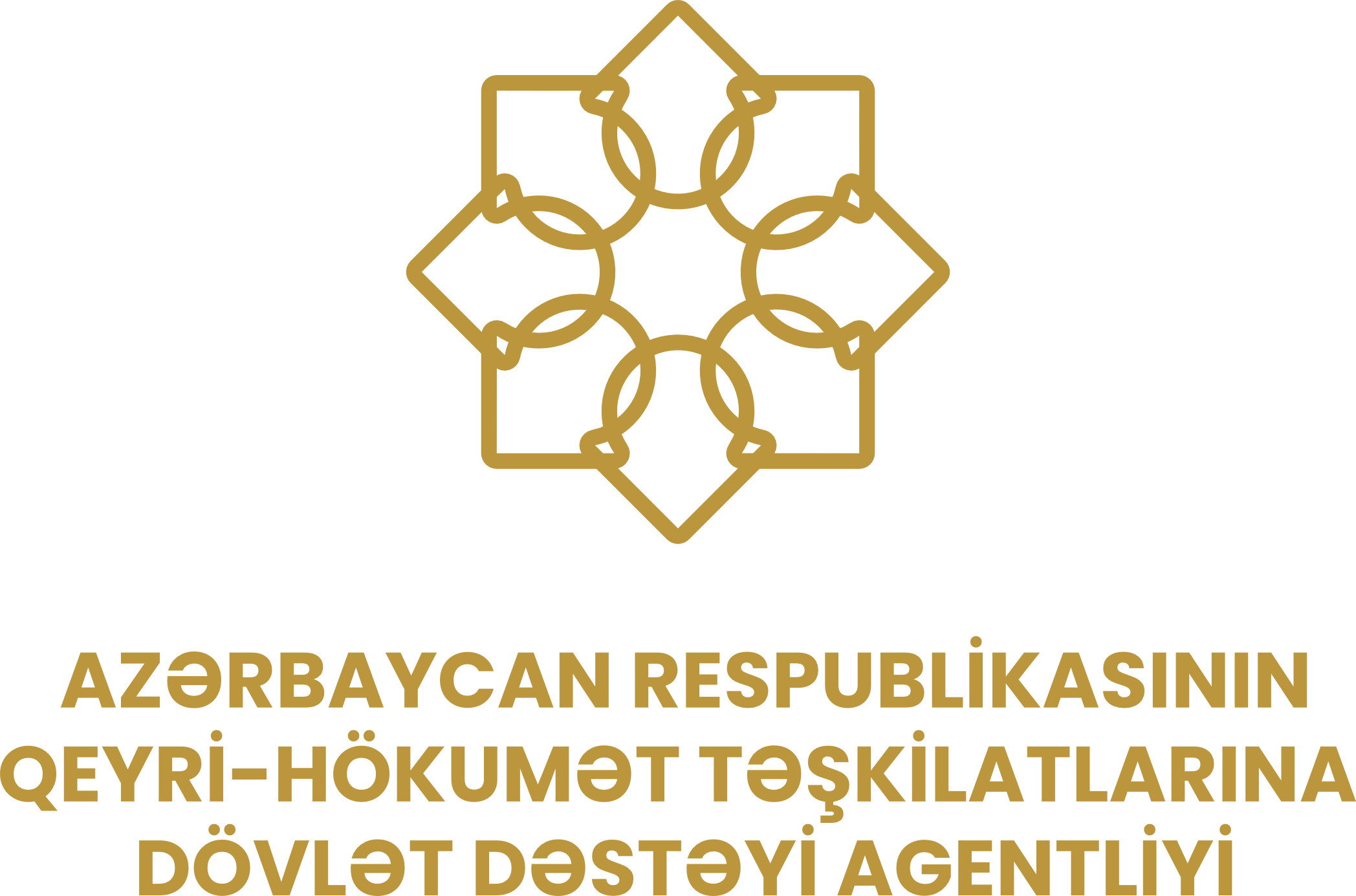 Partner Logo